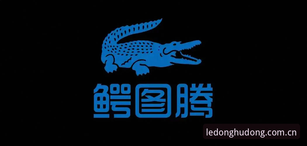 乐动体育最新地址安卓版全面解析：从下载到登录的完整使用指南